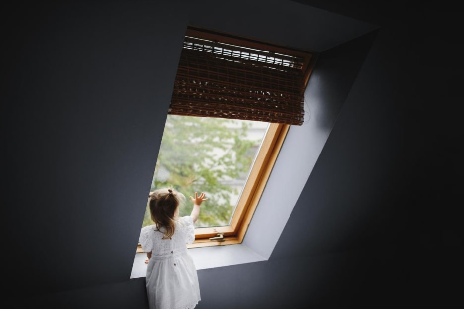 Rooflights: Enhancing Your Home with Natural Light and Style